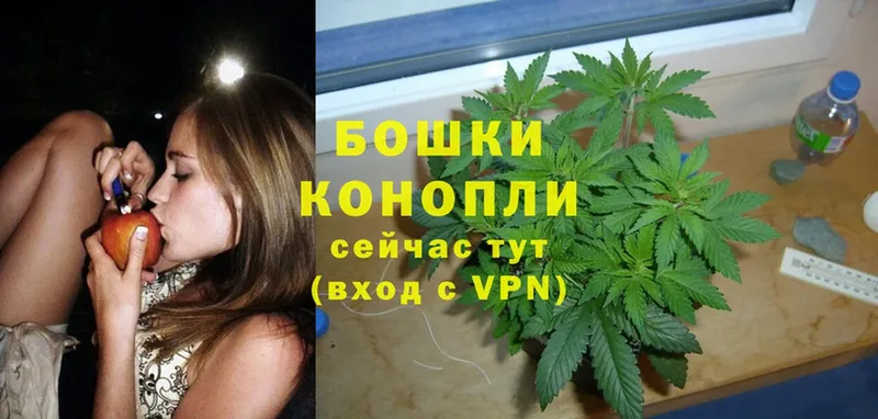 Бошки марихуана White Widow  купить  сайты  blacksprut маркетплейс  Уяр 